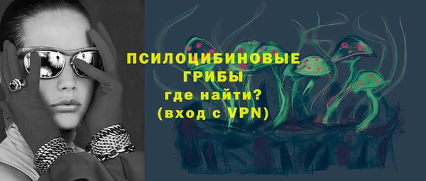 прущие крисы Арсеньев