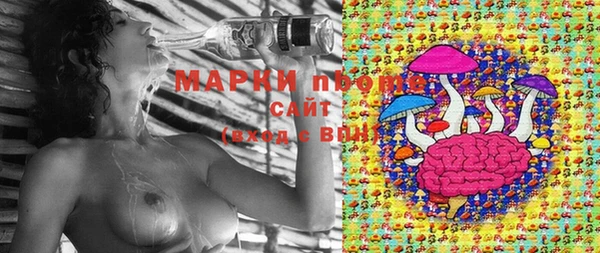 прущие крисы Арсеньев