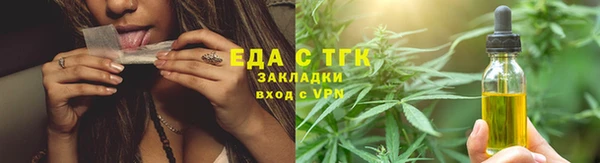 индика Аркадак