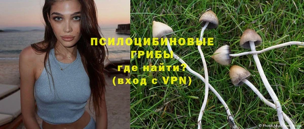 индика Аркадак