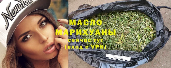 индика Аркадак