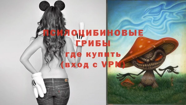 прущие крисы Арсеньев