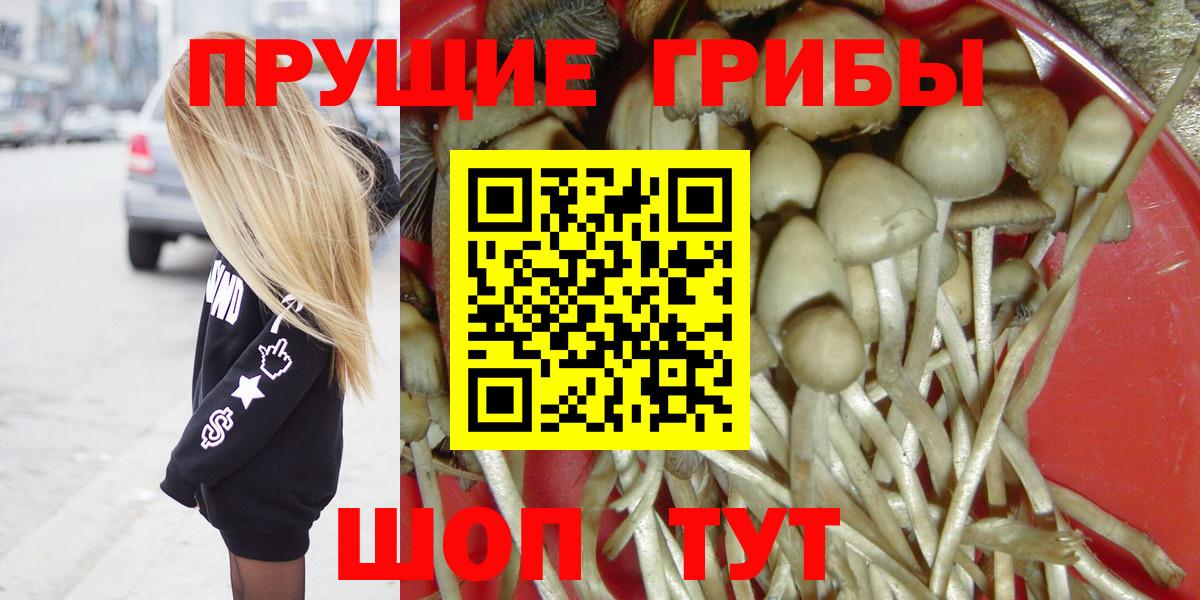 Псилоцибиновые грибы ЛСД  Вход с VPN  Черняховск 